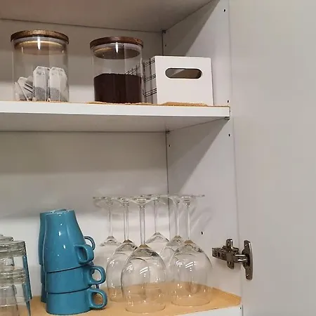 דירה Cactus - New 3bd 2br סיינט פול ביי