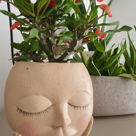 Appartement Cactus - New 3bd 2br