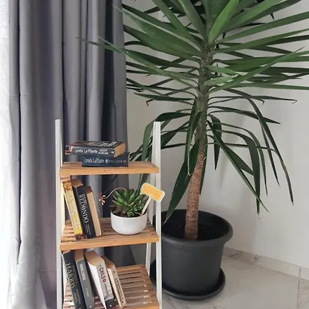 Cactus - New 3bd 2br Appartement *